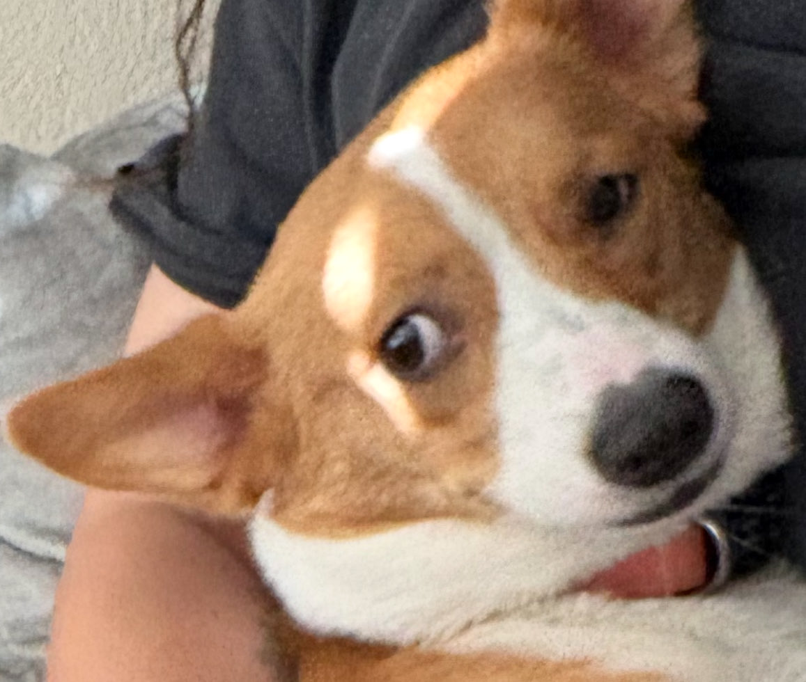 what does this face mean