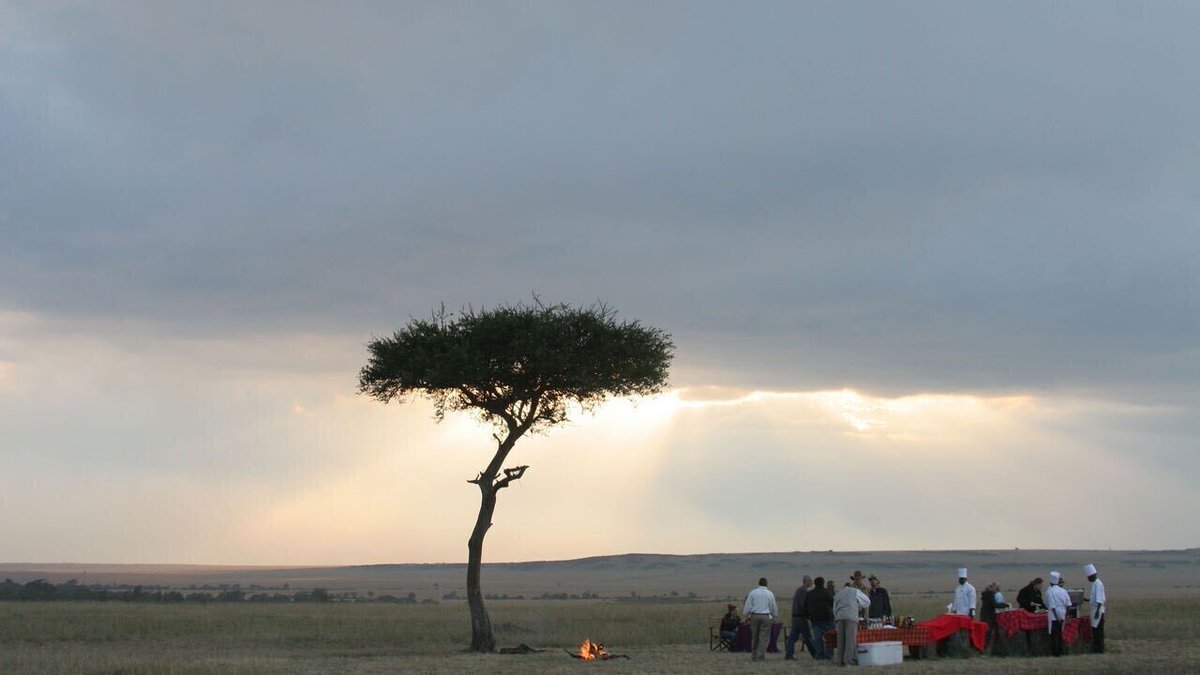 misguided_guide's tweet image. What are you doing in March? 

itineraries.safariportal.app/Magical-Kenya/…