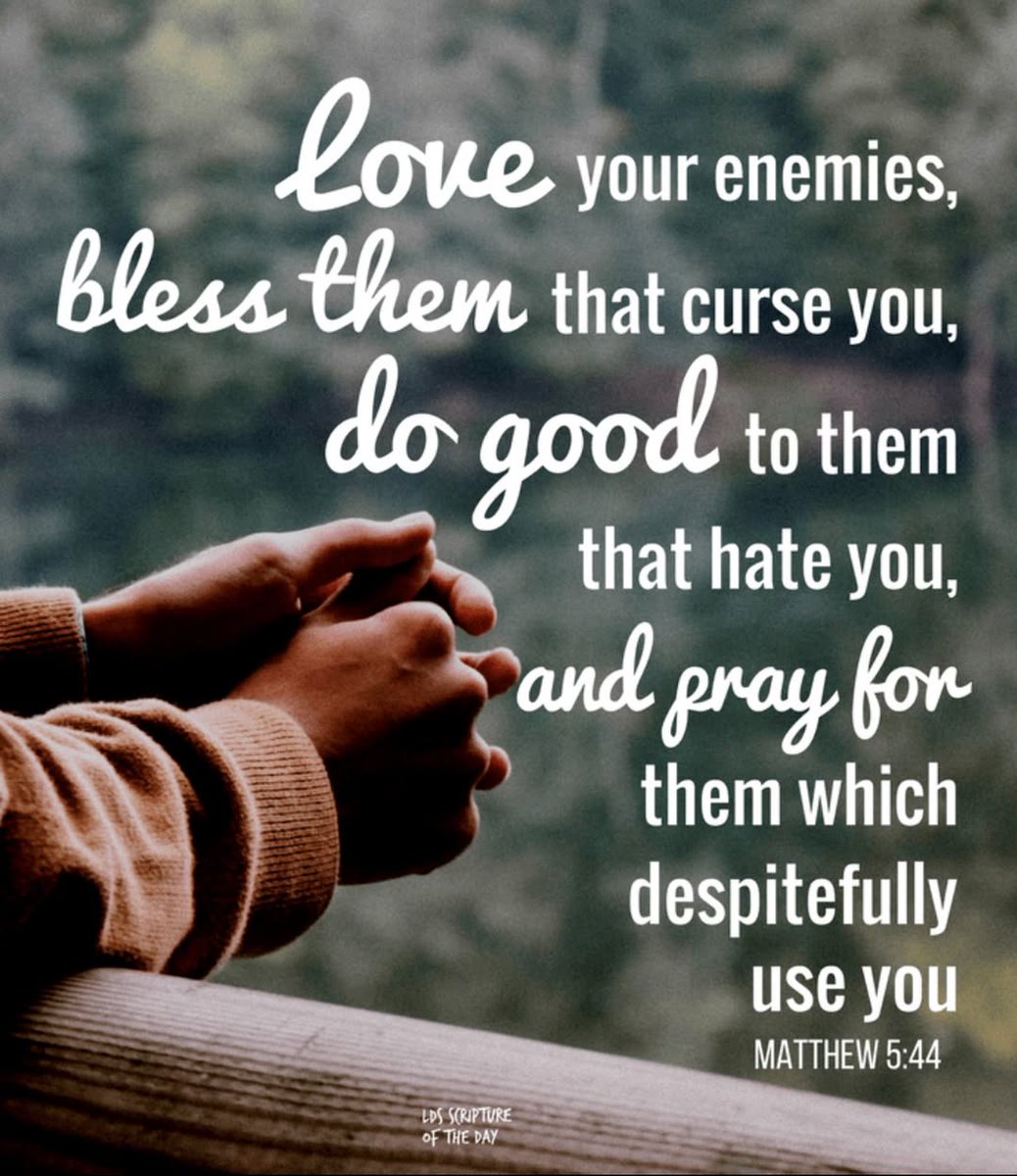 Meredith R. Sheppard (@mrsmsheppard) on Twitter photo 