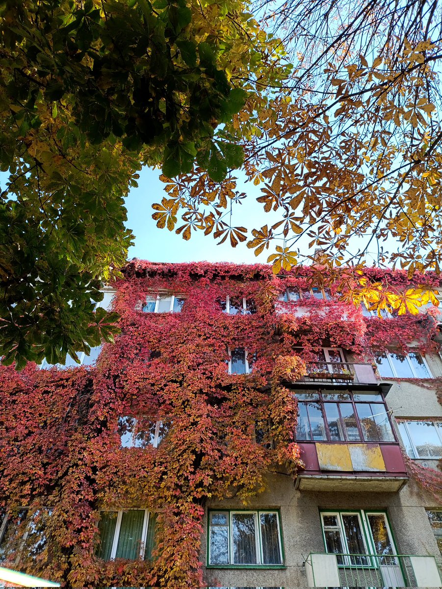 #луцьк