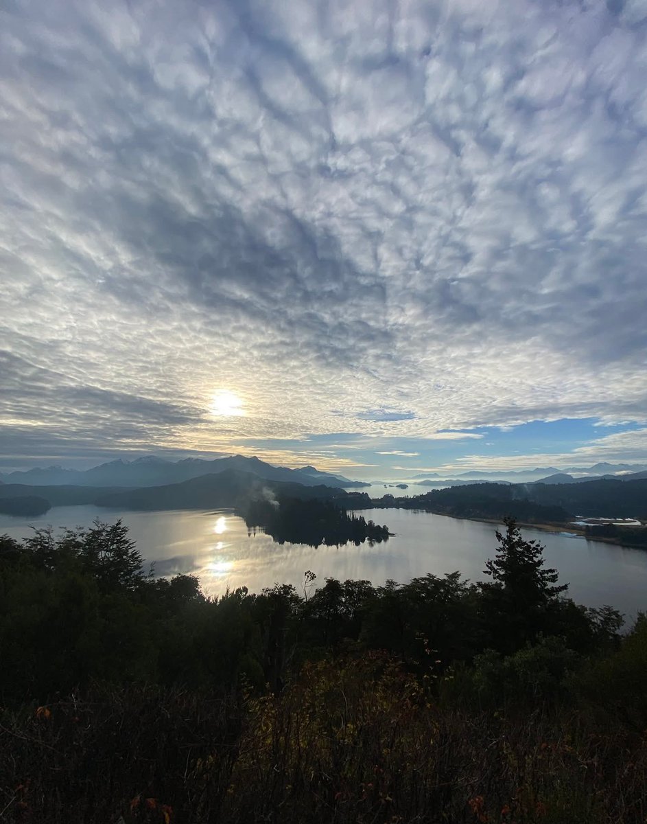 👇cae el viernes✨️🤍🤍✨️