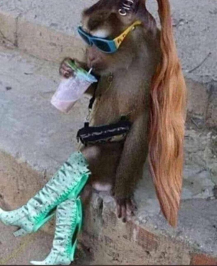 Paullinho (@bloodlinezone) on Twitter photo 