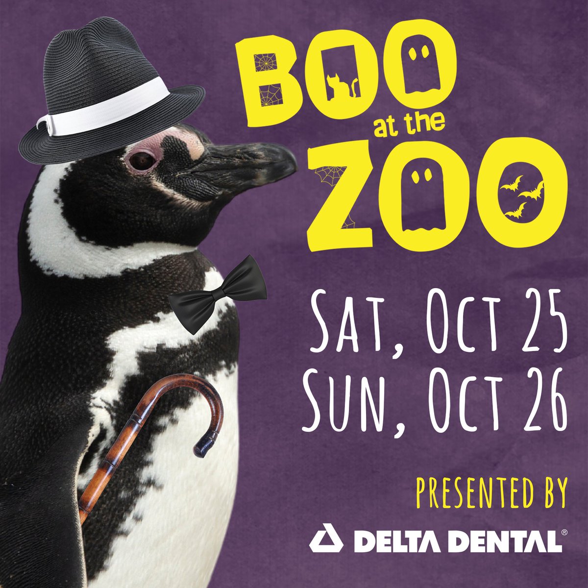 Today's the final day of Boo at the Zoo! Happening 10-5, last admission at 4. 🎃🐾

The ultimate family-friendly Halloween Event:
🍬Trick or Treat Candy Stations
🦁Animals enjoying Halloween treats
🦖Costume contests for all ages
🐵NEW Small Animal Kingdom
🍭Vendors &amp; much more
