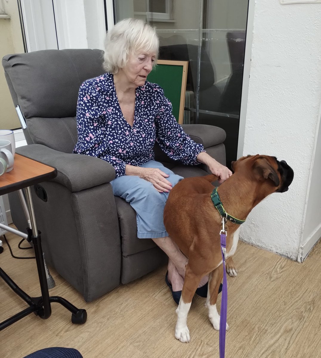 RedmountResHome's tweet image. We have had a busy week at Redmount, with a therapy dog visit, playing spot the difference, indoor bowling an a sensory guessing game. What a week! #FunAndGames #BusyWeek #WhatsOn