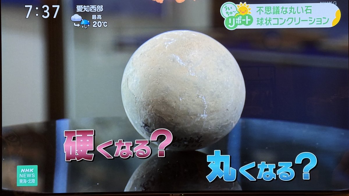 西本昌司 / Shoji Nishimoto tweet media
