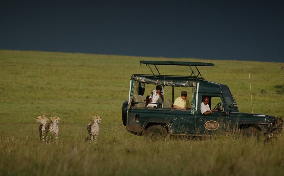 misguided_guide's tweet image. People queue to see elephants in zoos, then call Africa ‘too dangerous.’ The irony could flatten a Land Cruiser.