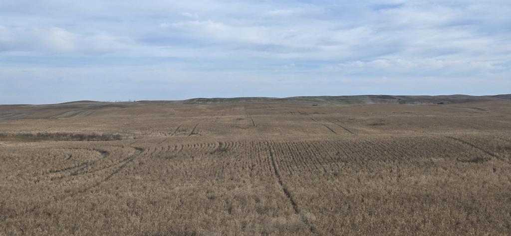 Rob Warkentin tweet media