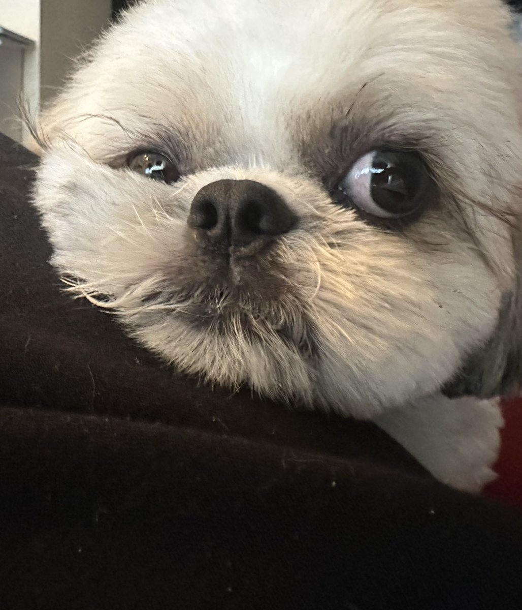 tikoderossi's tweet image. 今日も雨だねー