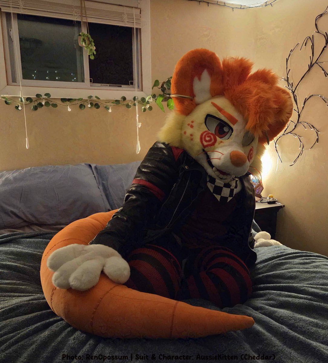 AussieKitten🍂⭐️┇【Comms ON HOLD】🔜 Eufuria 2026 tweet media