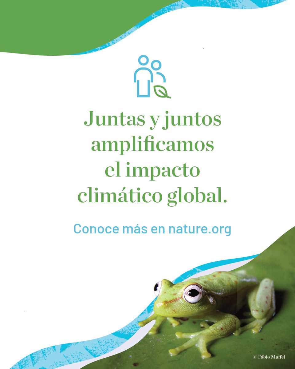 🌍 Ya estamos en cuenta regresiva para la #COP30 y cada acción cuenta.

Explora nuestra web y descubre las prioridades y recomendaciones clave para impulsar la acción climática. 💪 nature.ly/4nmABhF

#CambioClimático #COP30