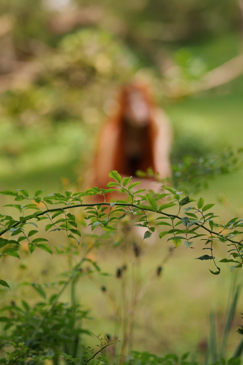 Julia Roper 🦇 tweet media