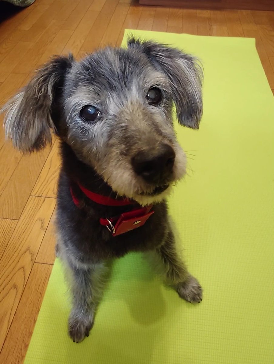 黒丸🌈 (@z1LbPi9wCHndEJT) / Posts / X