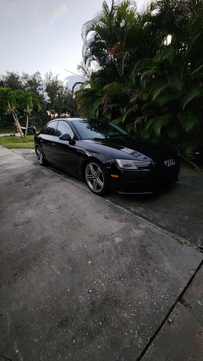 LilFertyVert tweet media