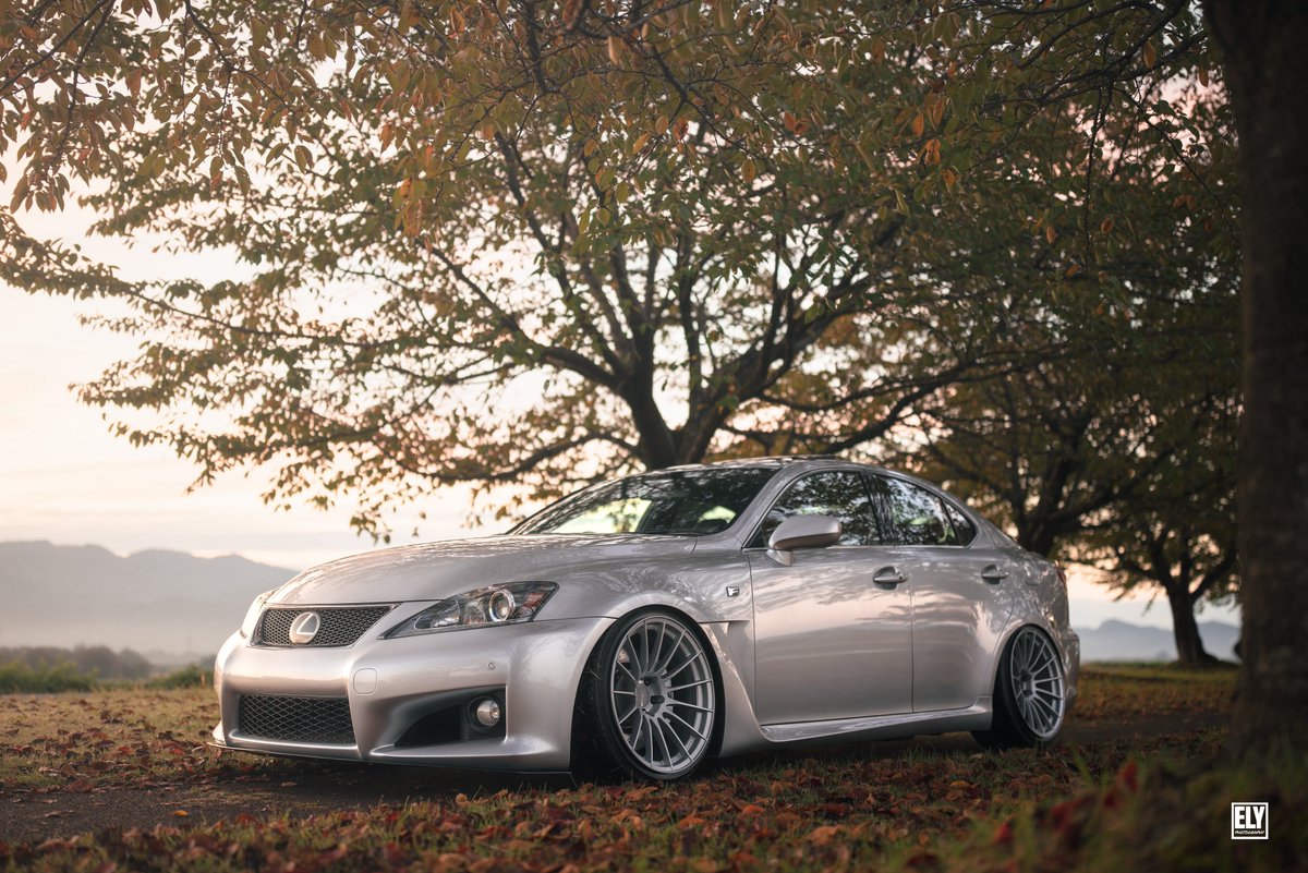 V8エリさん tweet media