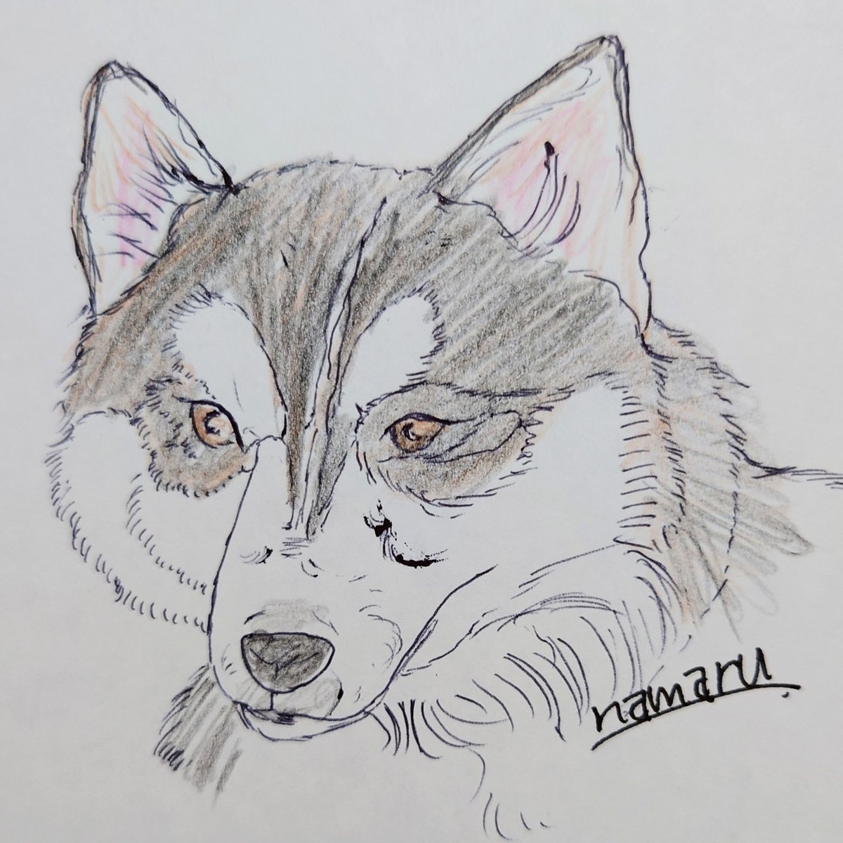 kayo2123's tweet image. #秋を彩るSNS作品展示祭
#オリジナルイラスト を
描いています✍️
可愛い!かっこいい!を
意識して描いています🎨