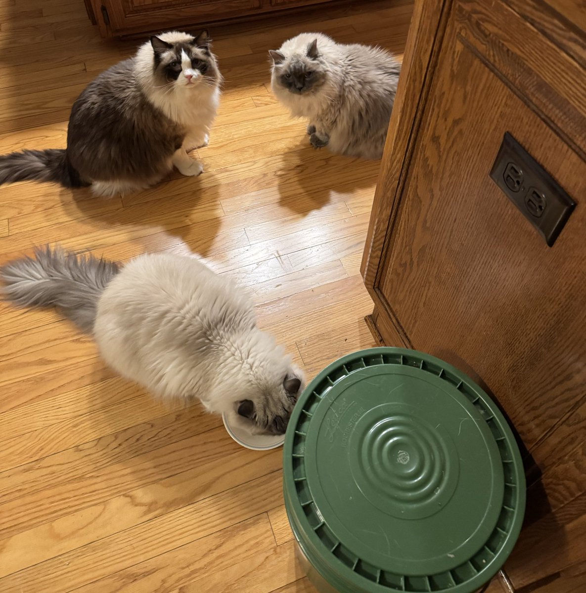 🤷‍♂️😴🌙🤠