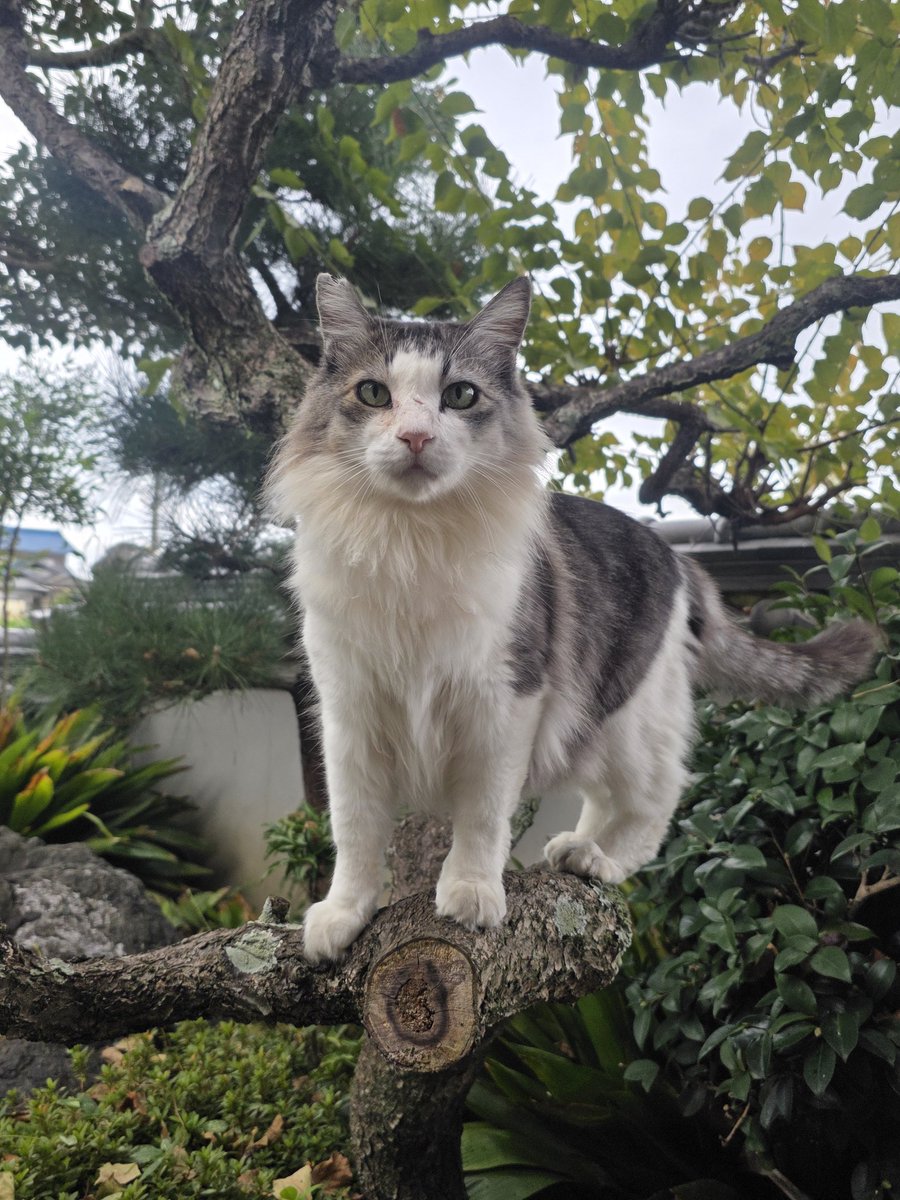 まゆ (@6XmGWa99dVCVGLo) / Posts / X