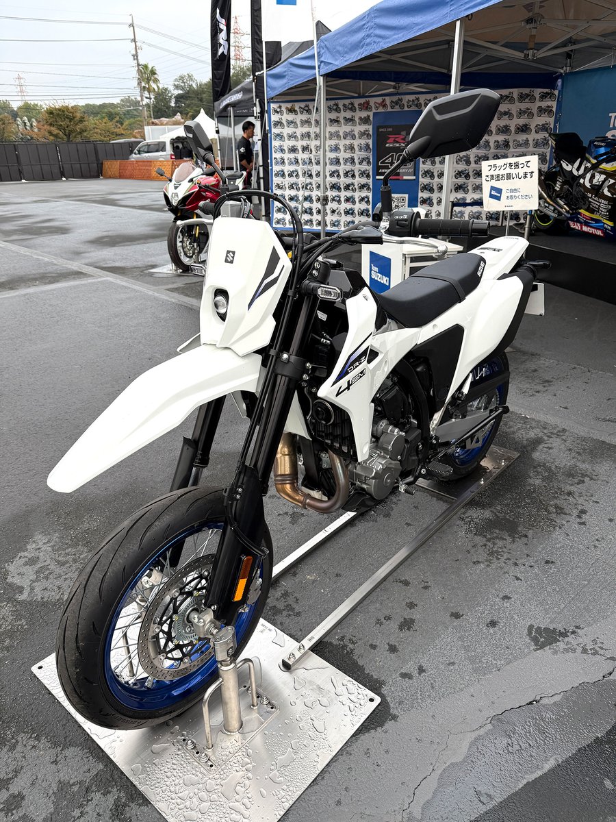  パルスレース レースアップシューズ #370KS（01370KSG）|women（レディース