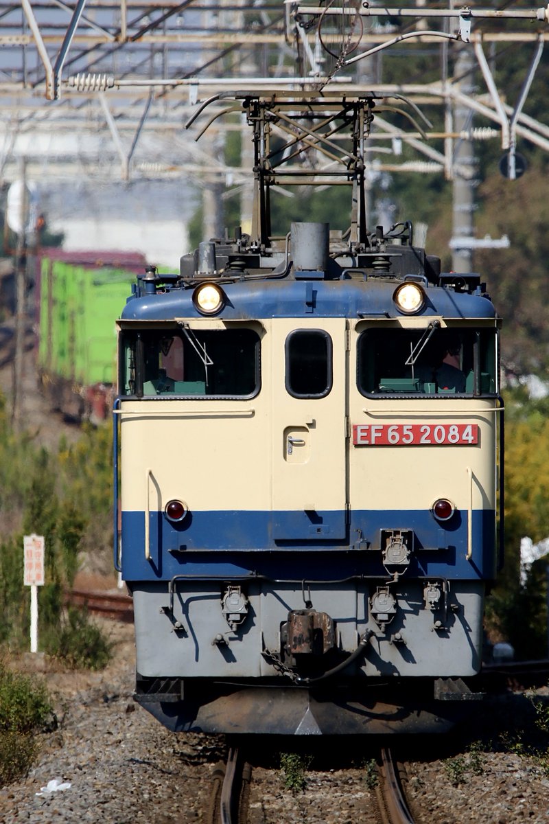 レーさん(カメです) (@nasubiyakiniku) / Posts / X