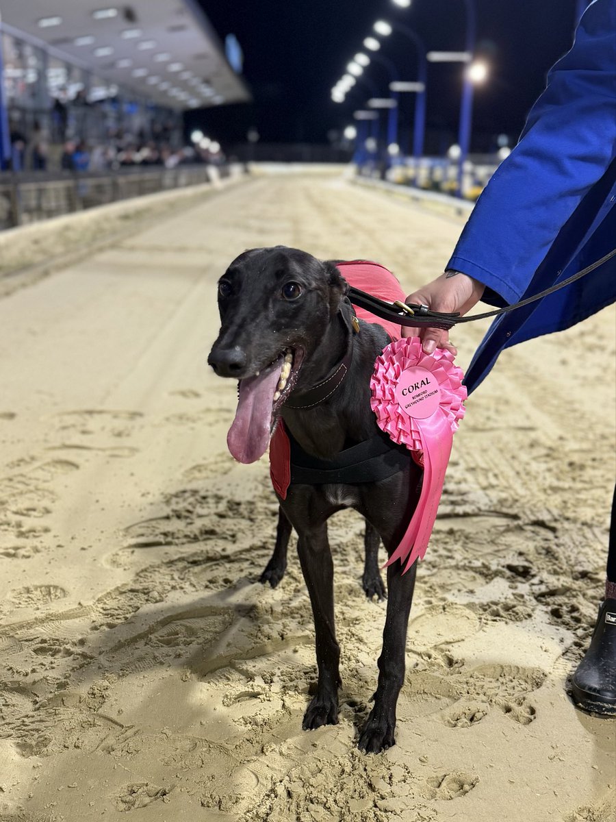 🧡Romford Friday Night 500 Stayers (OR3) - Heat 2🔥

🌟Winner of Race 5 - Romford Friday 24th October 2025

🏅Trap 1 - DROOPYS EUNICE

Trainer🏆- Maxine Locke (Rom)
Owner(s)🐾- JR Racing Syndicate

Congratulations to Connections!🩷