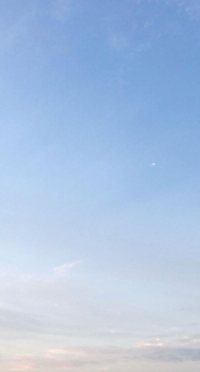 MichelleMaresh's tweet photo. 月曜日午後のメモ：からっとしてる／元気。休憩する→メモ整理する。マイペースで。 🌸 https://t.co/8pHWDgVRLc