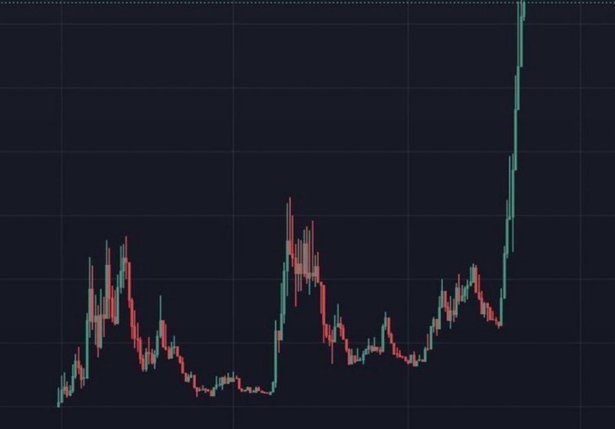 Eve (@evecoins) on Twitter photo What is the next 100X coin?? What is the next 100X coin??