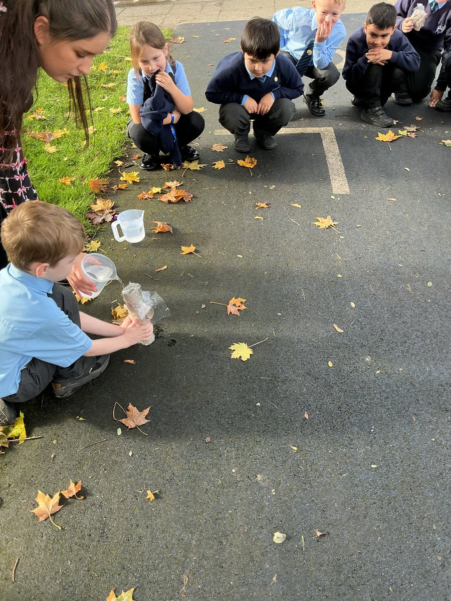 This week in Science, year 2 carried out an investigation to see which materials would be best for an insect shelter.