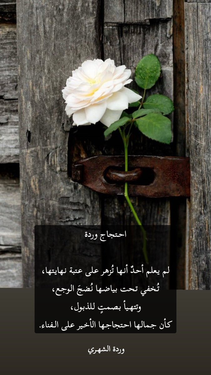 Rosesos12's tweet photo. احتجاج وردة 

#ق_ق_ج https://t.co/1LX72TNAyy