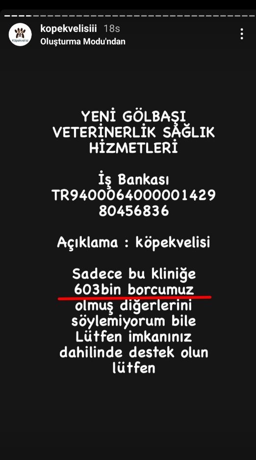 Ankara'da hayvanları dilendirenlerin sayfaları Gölbaşı Veteriner kliniğine binlerce lira borcu olduğu beyanı ile dolu. Hangi taşın altını kaldırsam altından bir gölbaşıdır gidiyor.. 

Sayın <a href="/memetsimsek/">Mehmet Simsek</a> bu klinik ne kazanıyor ki birde üzerine 600 bin, 200 bin TL gibi cari bakiye