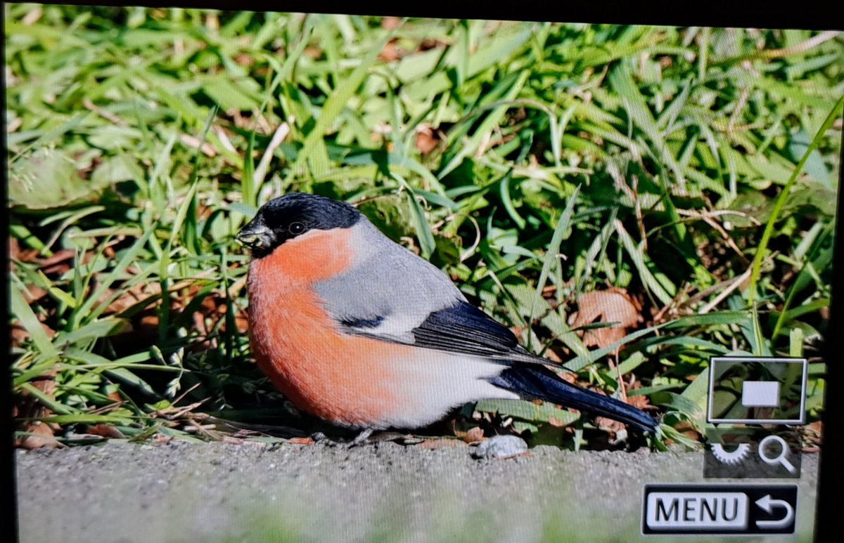 Jo Symon tweet media