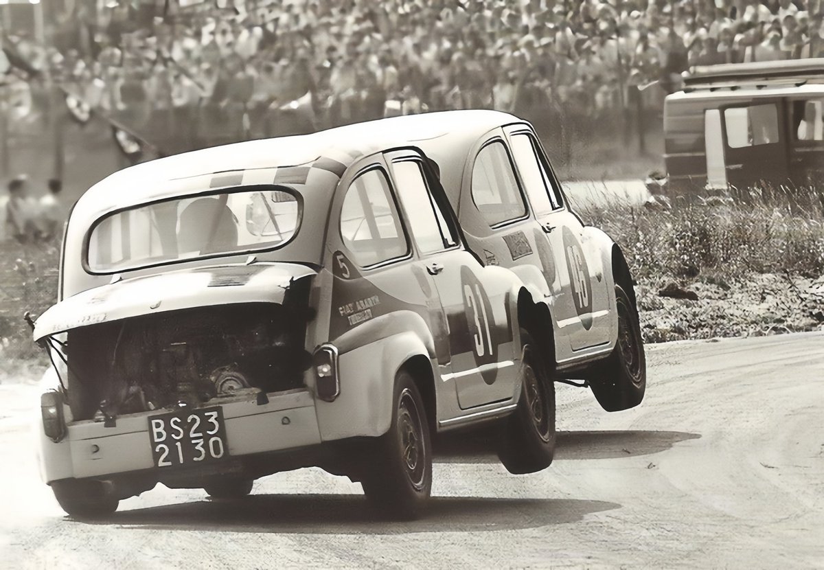 Conifera (@tjalo33) on Twitter photo  Conifera (@tjalo33) on Twitter photo