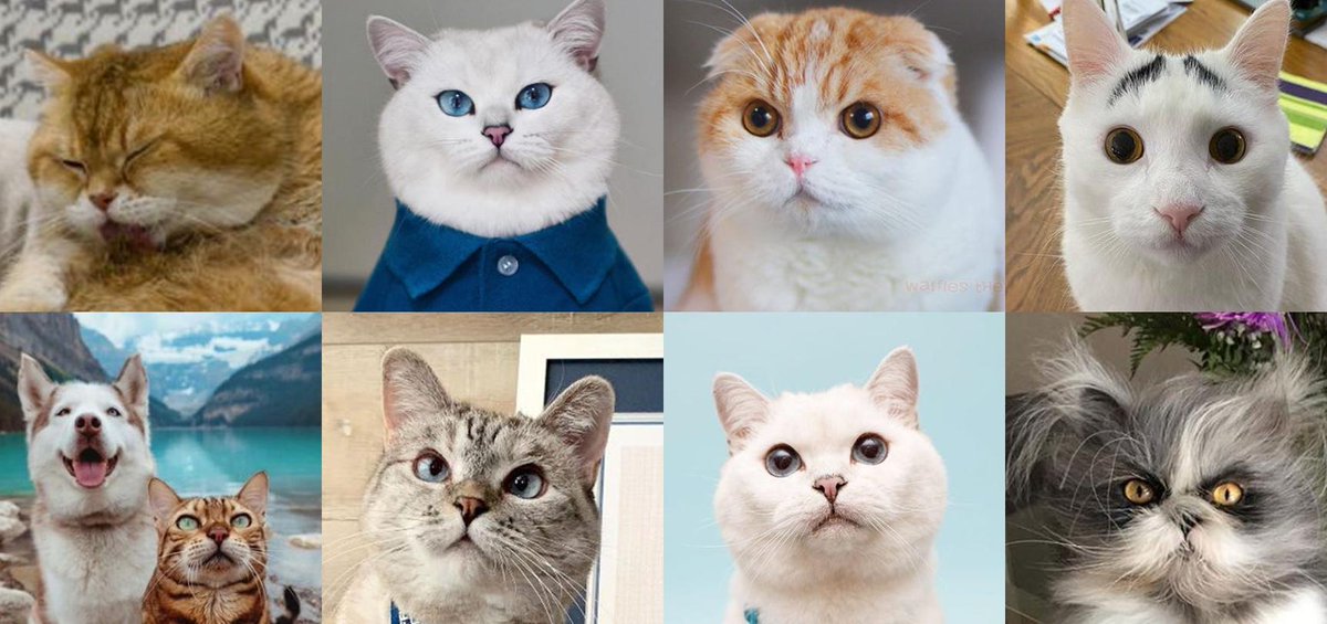 sofimagine's tweet image. 水曜日午前のメモ：雪／眠い。作業する→ストレッチする。あせらずに。