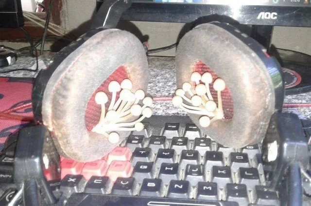 cursed_arg's tweet photo. https://t.co/Uk2whlnc5i