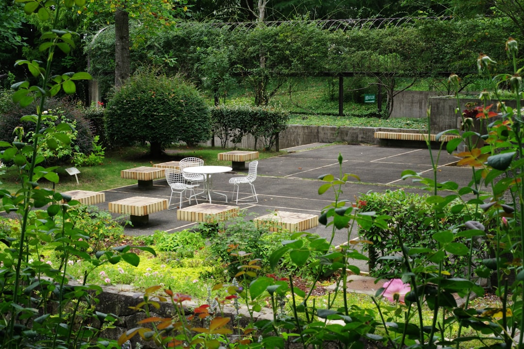 LudlowServices's tweet photo. Your dream yard is just a message away! Let’s talk about how we can make it happen together! 📩🌳 https://t.co/zYdOB5XtpO