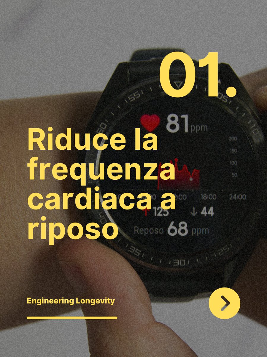 FrancTarantino's tweet photo. Vuoi provare l'allenamento 4x4? 
Scopri come farlo correttamente nel mio nuovo video su YouTube📽️: https://t.co/lUT3GcjKQr https://t.co/K19xn3JcNn