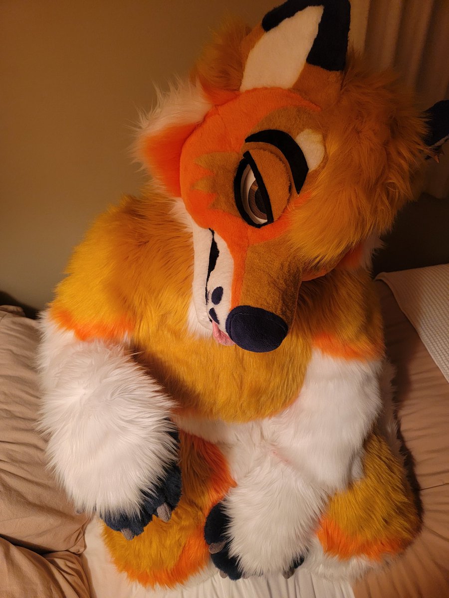 Would you give the dog some pets?

#FursuitFriday