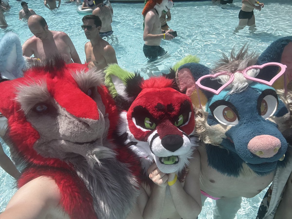 TheroTheSergal's tweet photo. Happy #FursuitFriday!

With @SvenFoxxo and @JazeFoxx 
❤️❤️💙💙 https://t.co/HzpgCXsRGe
