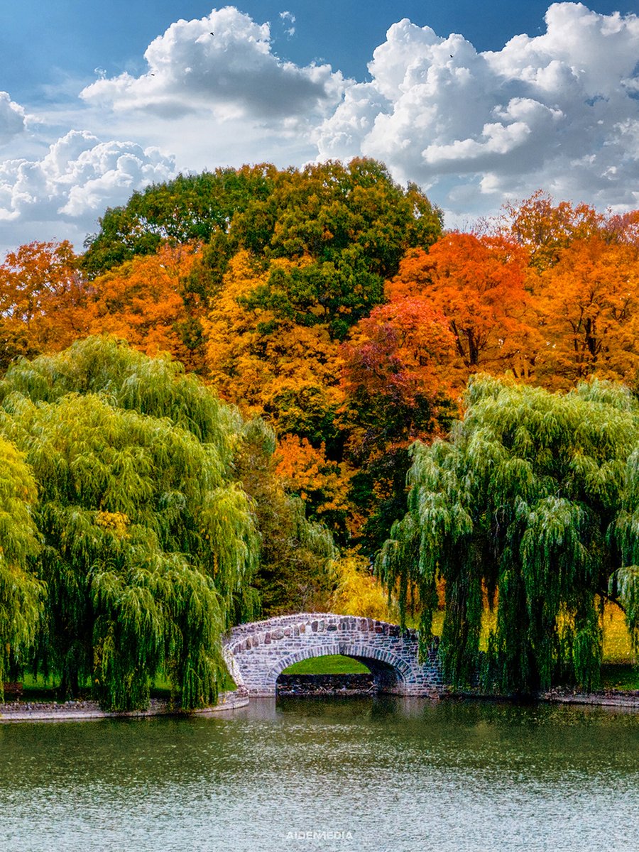 Finger Lakes Travel tweet media