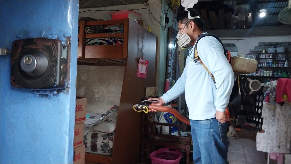 Salud_CZ8's tweet image. Mediante el personal de #ControlVectorial se sensibilizó a los moradores del populoso sector del sur de #Guayaquil sobre la prevención del #Dengue y la eliminación al mosquito 🦟 Aedes aegypti con fumigación intradomiciliar.