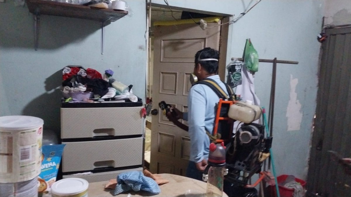 Salud_CZ8's tweet image. Mediante el personal de #ControlVectorial se sensibilizó a los moradores del populoso sector del sur de #Guayaquil sobre la prevención del #Dengue y la eliminación al mosquito 🦟 Aedes aegypti con fumigación intradomiciliar.