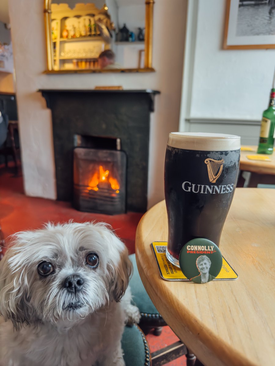 Paw-litical activists 🗳️🐾 Go maire an madra 🐶
#dogsforcatherine <a href="/catherinegalway/">Catherine Connolly</a> 
#dogsatpollingstations
