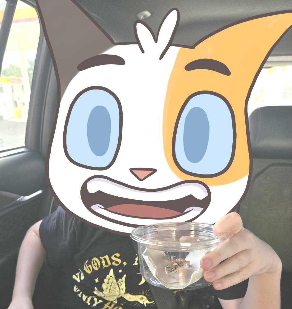 Litterbox Comics tweet media