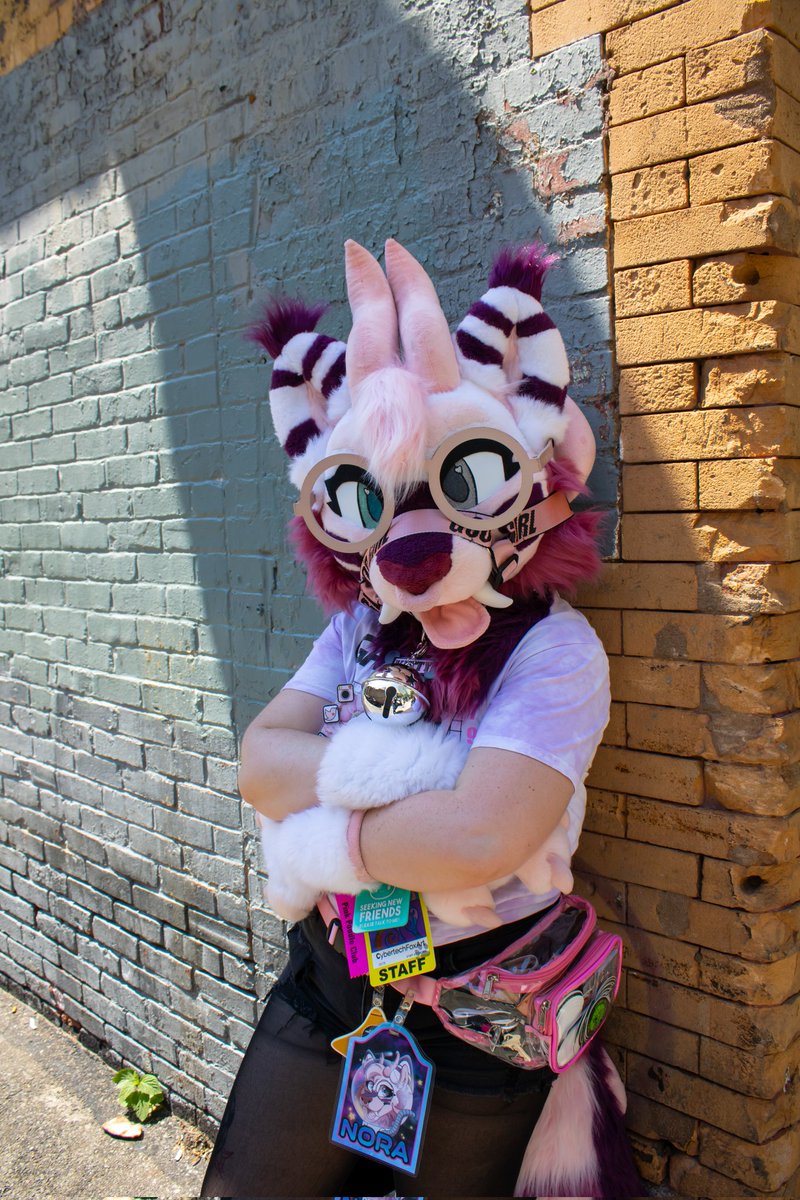 CybertechFoxArt's tweet photo. You come across this kitty while walking down an alley. What do you do? 🤔
📷 @Landerfoxx
✂️ @sleepystagsuits
.
..
#furry #furryfandom #furrycommunity #fursuit #fursuiter #FursuitFriday https://t.co/8o372qW3Fy