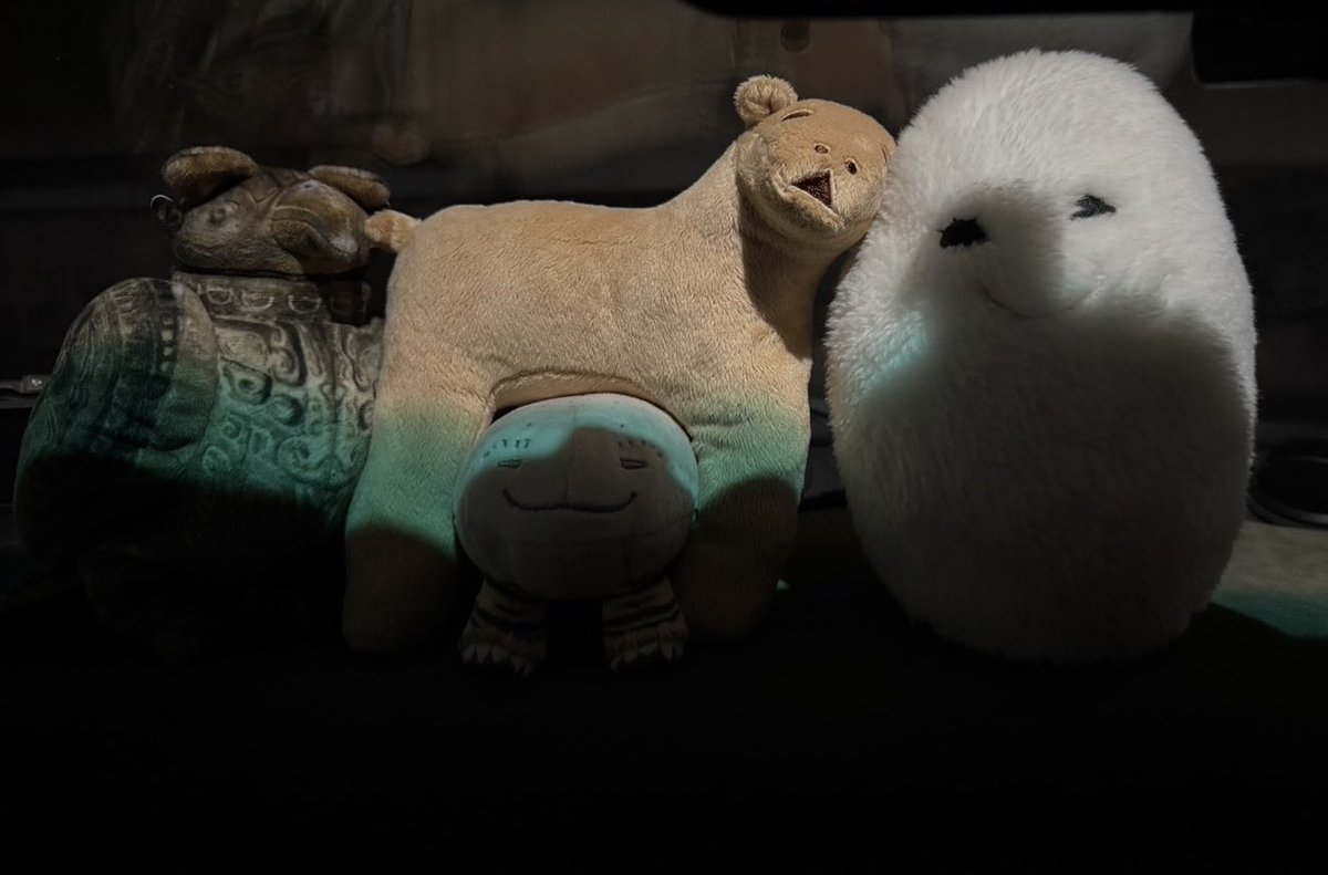 おひさま　せいなるおまもり＆バングルメット まとめ モアクト【公式】 on X