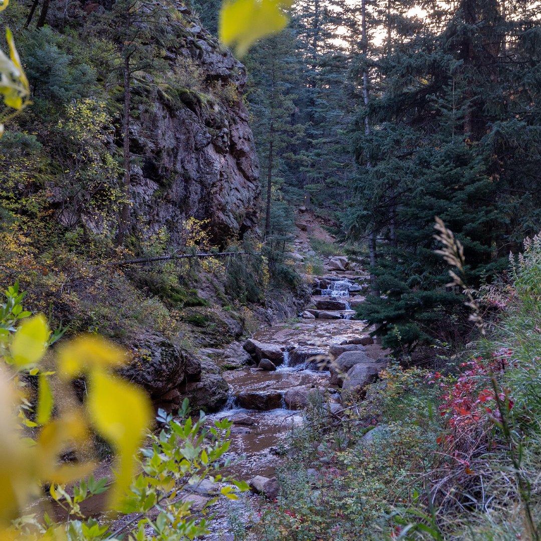 seven_falls's tweet photo. Streams framed by bright #autumn colors, it’s still the perfect time to explore Seven Falls.​

Plan your visit today ➡️ https://t.co/nNJYDjaWTL https://t.co/5gwWZVolWL