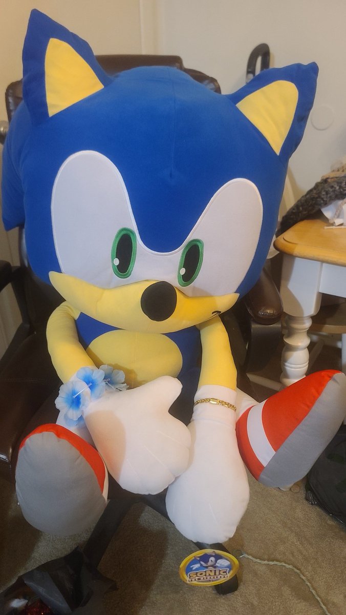 Gave my giant sonic plushie a 14k gold bracelet. 

Because it won't fit around my wrist.