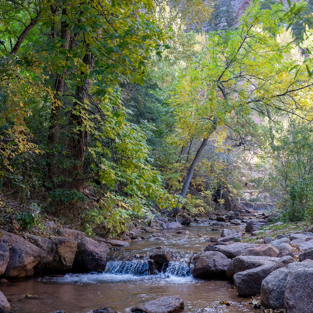 seven_falls's tweet photo. Streams framed by bright #autumn colors, it’s still the perfect time to explore Seven Falls.​

Plan your visit today ➡️ https://t.co/nNJYDjaWTL https://t.co/5gwWZVolWL