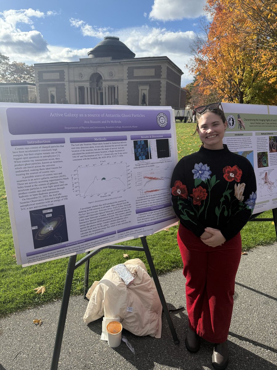 Bowdoin Softball tweet media