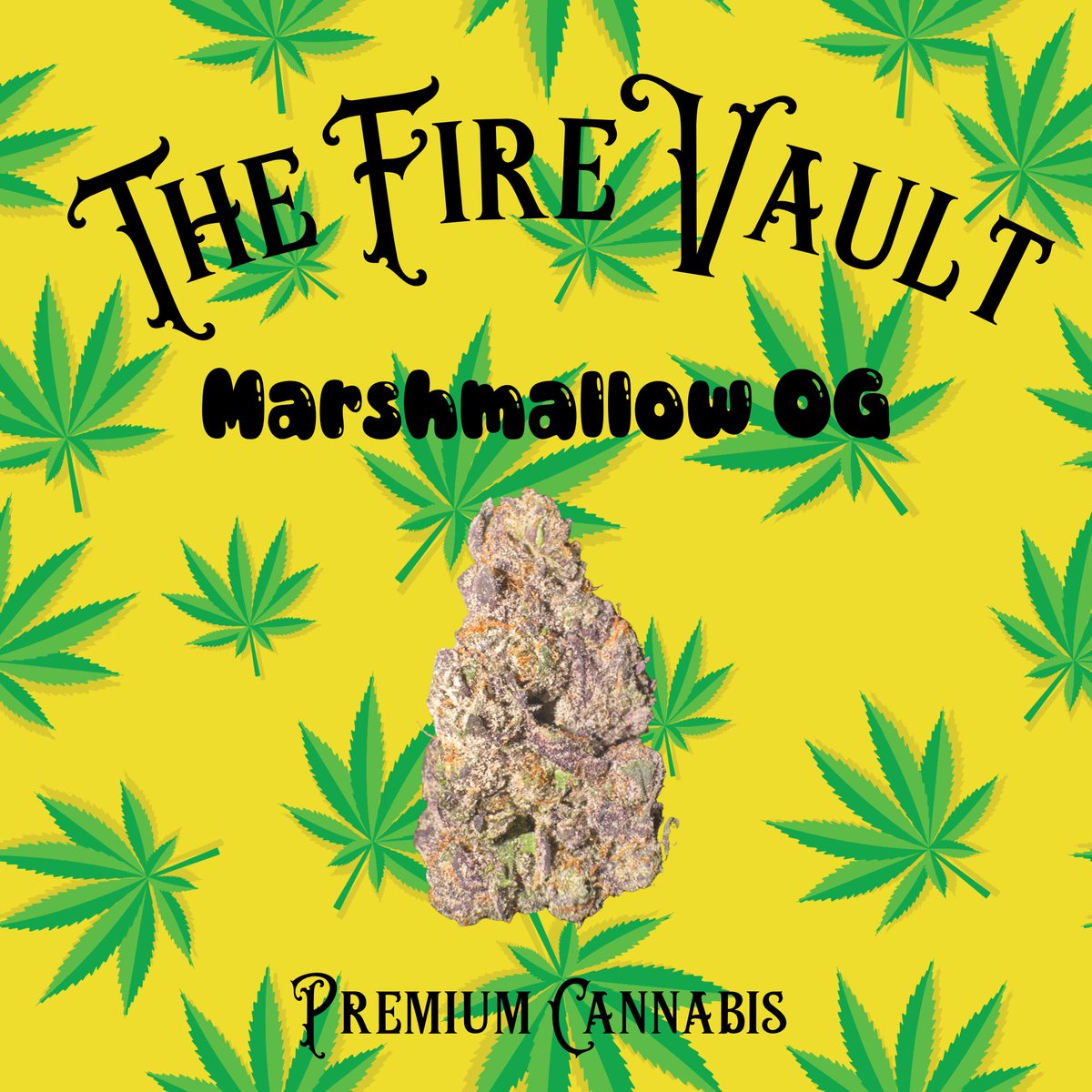 TheFireVault1's tweet photo. Best in Houston #HTX https://t.co/By9nDMHt2G