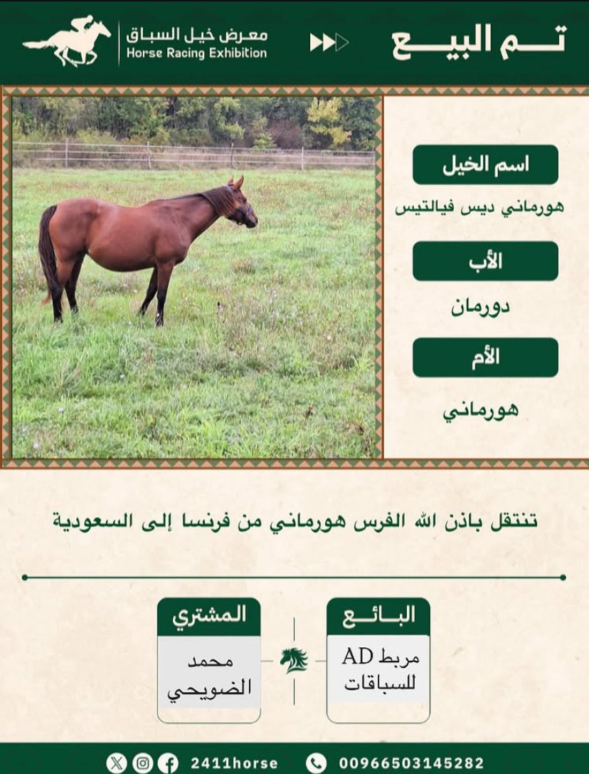 معرض خيل السباق (@24111horse) on Twitter photo 